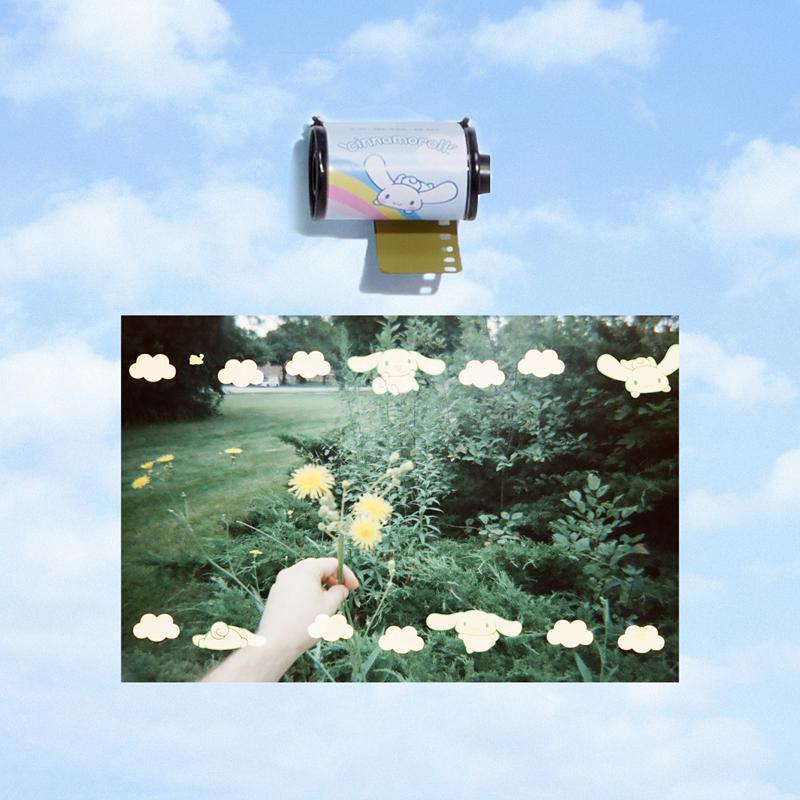 Sanrio Cinnamoroll 35mm Special Accessories Border Film  USA |  OFGVY-2649