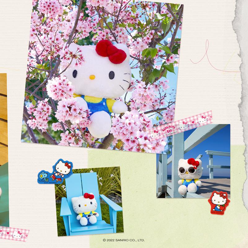 Sanrio Hello Kitty 10