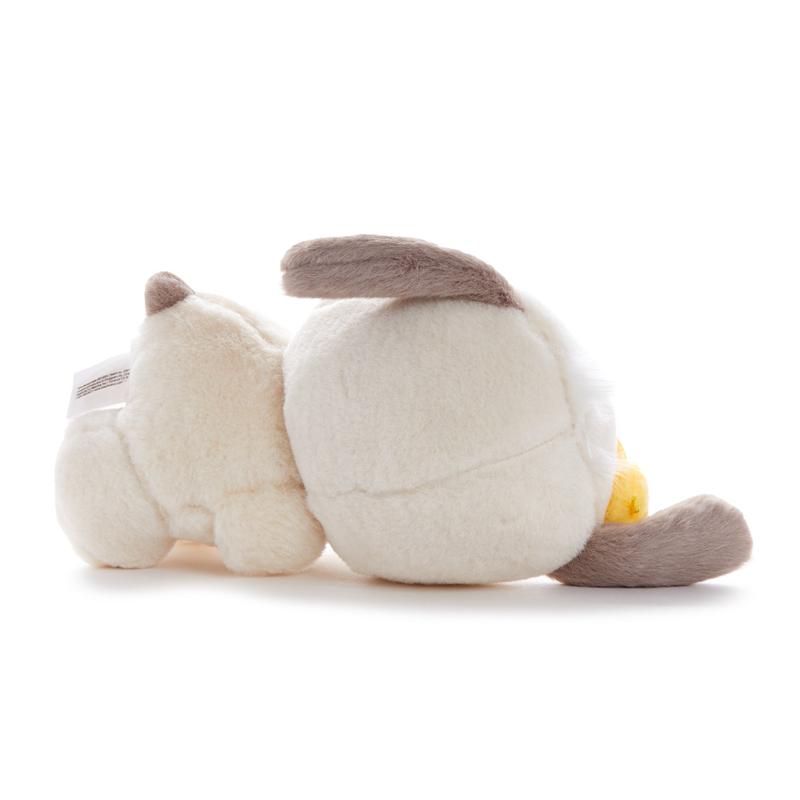 Sanrio Pochacco 12